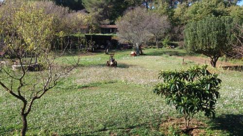Aubagne Maison | le Mas du Pin Vert