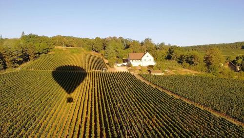 Buxy Maison | Le Mont Laurent