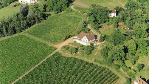 Buxy Maison | Le Mont Laurent