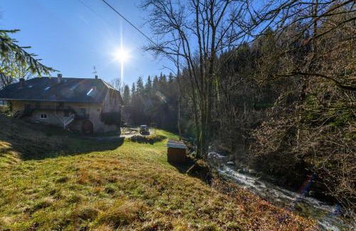 Dingy-Saint-Clair Maison | Le Moulin de Dingy - House with 6 bedrooms & swimmingpool 20 mn from Annecy