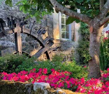 Champagnac-de-Belair Hôtel | Le Moulin du Roc