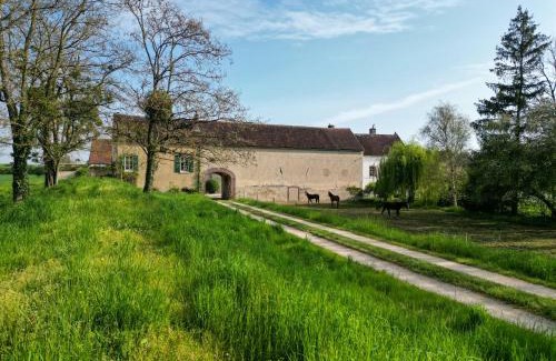 Brienon-sur-Armancon Maison | Le Moulin Neuf