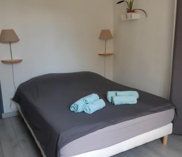 Chinon Appartement | Le murier ensoleillé