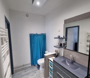 Chinon Appartement | Le murier ensoleillé