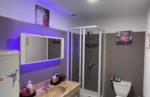 Joigny Appartement | Le Mustang Internet Fibre Netflix