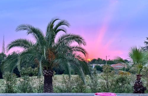 Auterive Appartement | Le Nid au Jardin