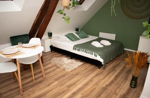 Beauvais Appartement | Le Nid Douillet - Hypercentre - Studio