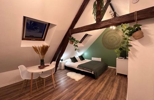 Beauvais Appartement | Le Nid Douillet - Hypercentre - Studio