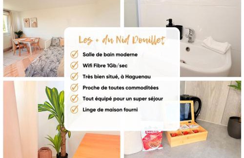 Haguenau Appartement | Le Nid Douillet - Parking Included - Haguenau