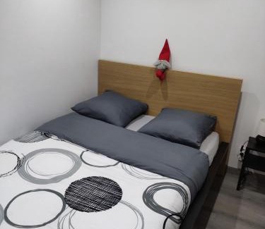 Zillisheim Appartement | Le nid du colibri appartement entier F1 à 5 mn de Mulhouse
