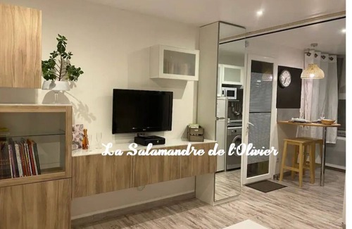 Peipin Appartement | Le palmier 4 * Studio Cocooning avec extérieurs et piscine. Animaux acceptés