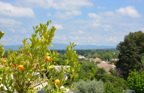 Chateauneuf-de-Gadagne Lit Et Petit-Déjeuner | Le Petit Chateau