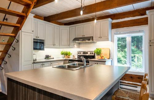 Saint-Faustin-Lac-Carre Chalet De Ski | Le Petit Chalet by My Tremblant Location