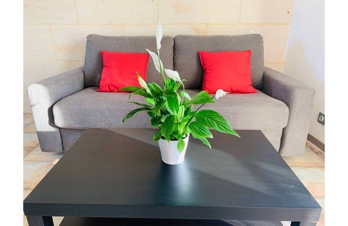Chauray Appartement | Le Petit Cosy Centre ville - WiFI - Parking