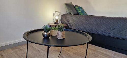 Mont-de-Marsan Appartement | Le petit Jungle - hyper centre