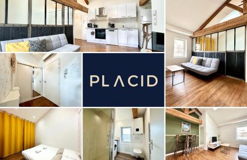 Mont-de-Marsan Appartement | Le Petit Landais - Chaleureux - Clim - Central