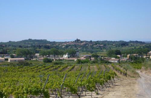 Saint-Pargoire Maison | Le Petit Mas du Vigné