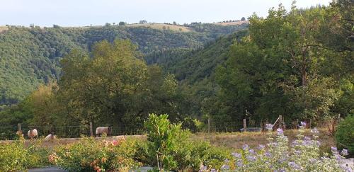 Centres Maison | Le Petit Suc