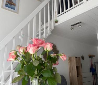 Baguer-Pican Appartement | LE PICANAIS