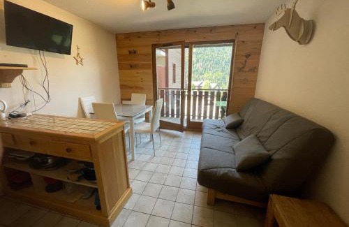 Saint-Jean-dʼAulps Appartement | Le Pied des Pistes A13, Joli Studio tout confort 4 pers, vue vallée imprenable, DRAPS NON COMPRIS
