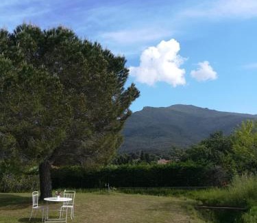 Laroque-des-Alberes Appartement | Le Quatorze