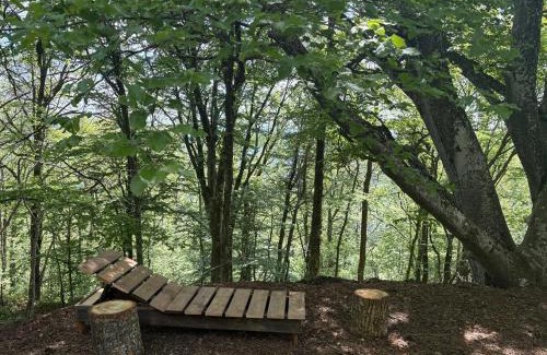 Yzeron Chalet De Ski | Le refuge d'Yzeron, gite autonome en pleine forêt pour 8 personnes