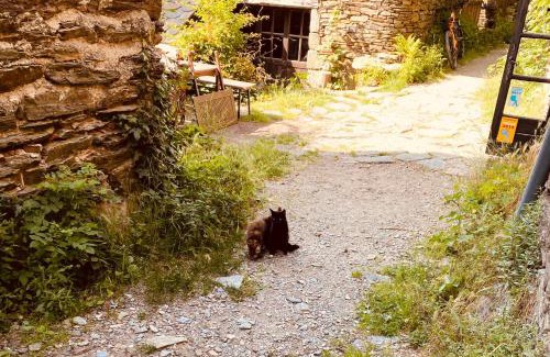 Vialas Maison | Le Refuge de Castagnols