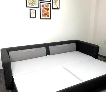 Brunstatt-Didenheim Appartement | le refuge fleuri T5 avec terrasse et jardin