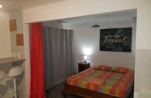Pointe-a-Pitre Appartement | Le Repère tropical à la Marina