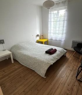 Lussac-les-Chateaux Appartement | LE REPOS DU VOYAGEUR T3 45 m2 tout confort