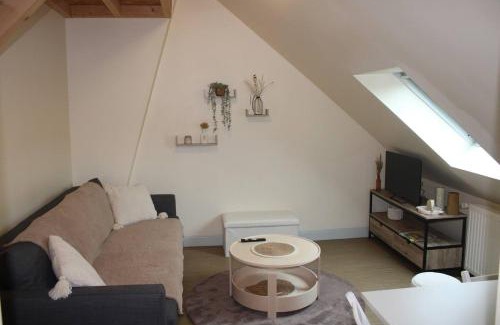 Chinon Appartement | Le Saint-Georges - 2 à 4 pers - Ideal CNPE CHINON