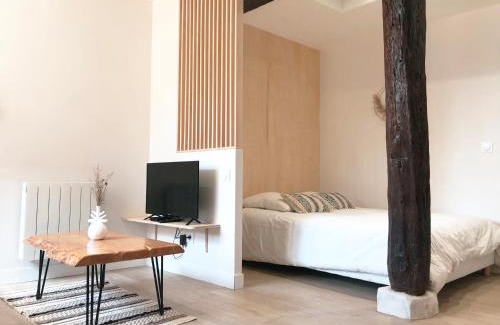 Auch Appartement | Le Seize - Studio dans le centre historique d'Auch