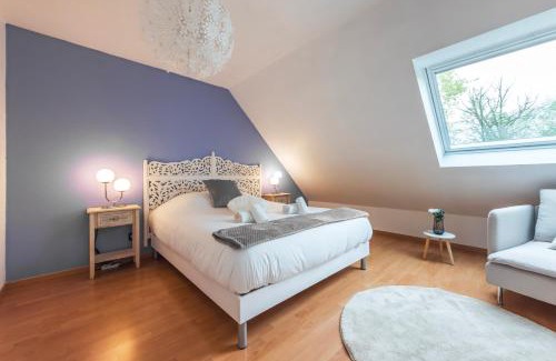 Haguenau Appartement | Le Serenity - Maison proche Gare