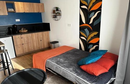 Centre Ville Appartement | Le Songe bleu - centre ville - netflix