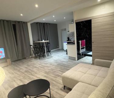 Bourg-en-Bresse Appartement | le spacieux appart