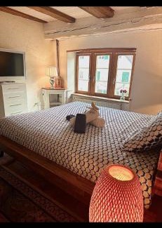 Delemont Appartement | Le Spacieux en vieille ville