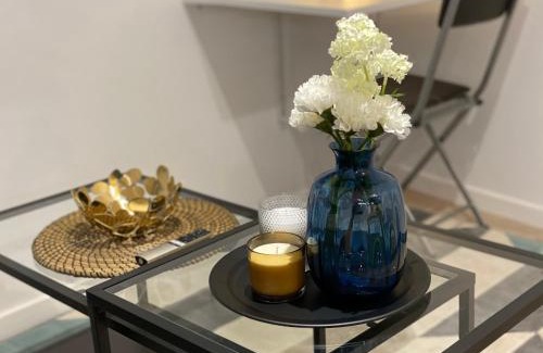 Agen Appartement | Le Standing - Au Coeur d'Agen - Self Checkin - Wifi - Netflix - Smart TV - Luqs fr