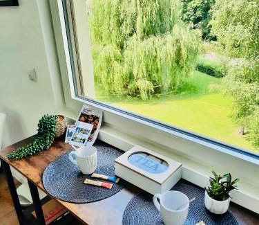 Bethune Appartement | Le studio du jardin Public centre secteur VIP Luxe - vue panoramique
