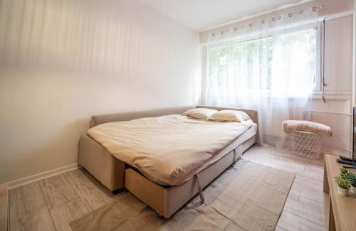 Chalon-sur-Saone Appartement | Le studio tropical