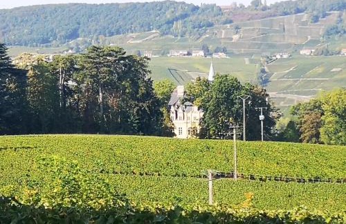 Boursault Maison | Le Temps d une Pause à Boursault