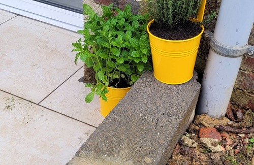 Caestre Appartement | Le Temps D'une Pause Le Calme et le Confort au Cœur des Monts des Flandres