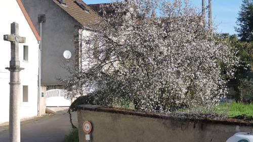Chassey-le-Camp Appartement | Le Vendangeur