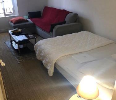 Aurillac Appartement | Le Victor Hugo 3D et sa pizza offerte