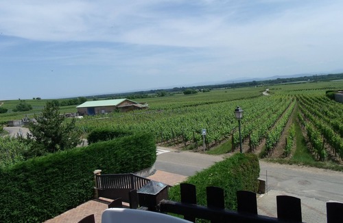 Bennwihr Appartement | Le vignoble
