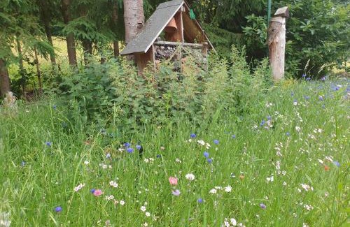 Dambach Maison | Le Wineck