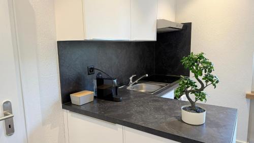 Schaffhausen Appartement | Lea Apartement - Ruhiges Studio
