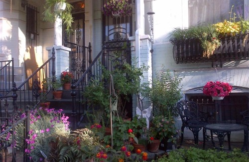 Le Droit Park Lit Et Petit-Déjeuner | Ledroit Park Renaissance Bed and Breakfast