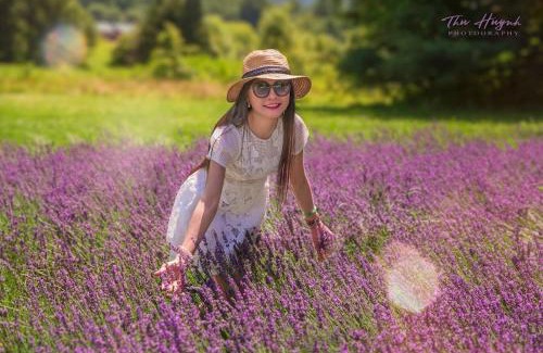 Washington Maison | LeFay Cottage at Little Washington