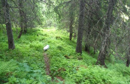 Seljord Appartement | Leilighet i Åmotsdal