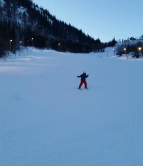 Seljord Appartement | Leilighet i Åmotsdal